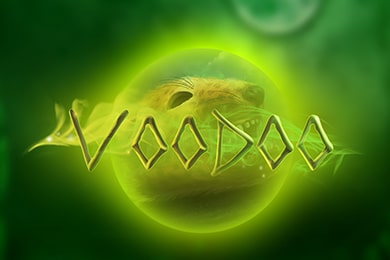 Voodoo — игровой автомат